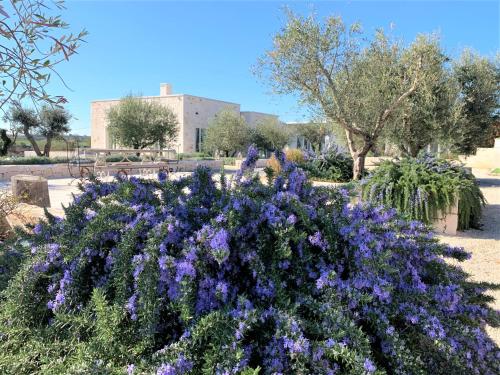 Trullo Piccolo photo 2