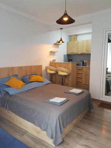 1 dormitorio con 1 cama grande y cocina en Cosy Apartment, en Borjomi
