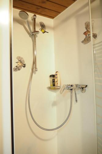 a shower with a shower head in a bathroom at Ferienhütte in Ruhpolding in Ruhpolding