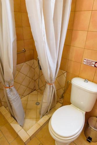 a bathroom with a toilet and a shower with curtains at Marianna Cottage in Palaia Fokaia