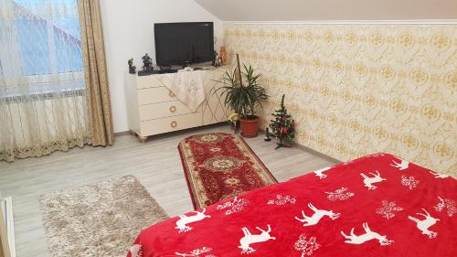 a bedroom with a red blanket and a bed and a tv at Casa Cojanu in Petroşani