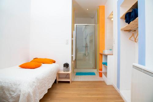 a bedroom with a bed and a walk in shower at La Comédie de Pézenas - Appartements in Pézenas