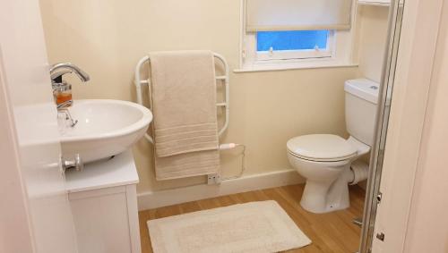 a white bathroom with a toilet and a sink at 127 on Atholl in Pitlochry