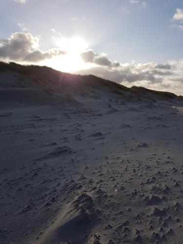 a sandy beach with the sun in the background at Sonnenstrahl im Küstenwald in Gelbensande