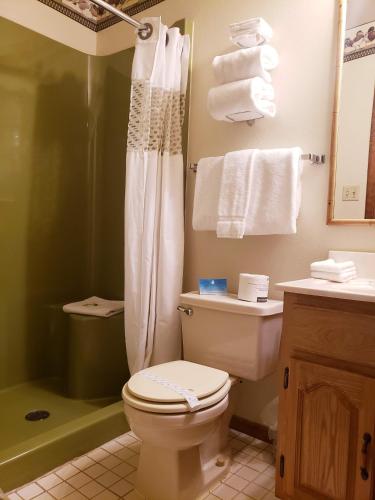 a bathroom with a toilet and a shower with towels at North Ironwood Acres - Black River Lodge in Ironwood