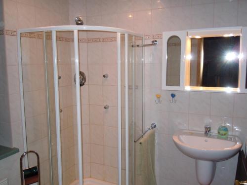 a bathroom with a shower and a sink at Ferienhaus Am Eichler Stich in Zehdenick