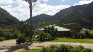 a palm tree and a house with mountains in the background at Waiotemarama Falls Lodge in Opononi