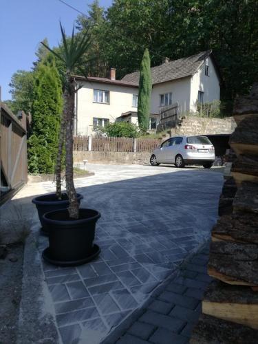 a potted tree in a pot on a driveway at MotoHostel Wolter - hostel Copa in Všeň