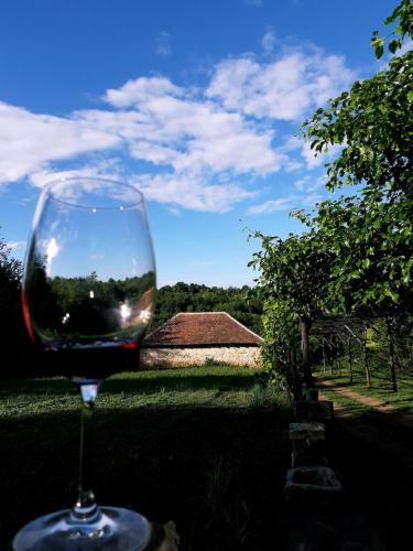 a glass of red wine sitting on a table at Vila Milenovic Rajacke Pivnice in Rajac