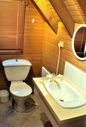 a bathroom with a toilet and a sink at Loft in Dinner Plain