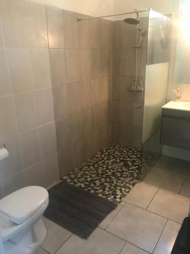 a bathroom with a shower with a toilet and a sink at Location Vacances in Deshaies