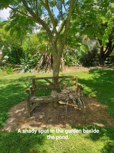 a shabby spot in the garden beside a tree at Cabins on Tudor bed & breakfast in Motueka