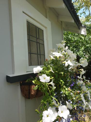 a window box with white flowers on the side of a house at Cabins on Tudor bed & breakfast in Motueka