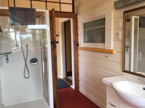 a bathroom with a shower and a sink at Tasman Farmstay Retreat GlenMhor in Tasman