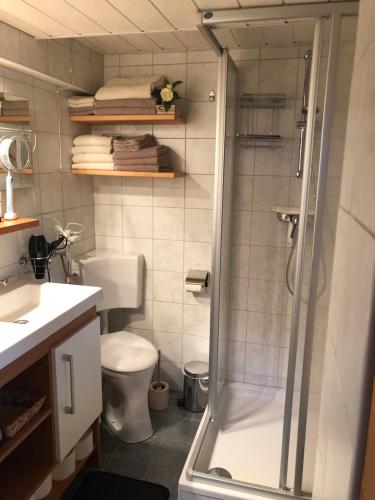 Kúpeľňa v ubytovaní Chalet - Direkt am 5 Sterne Campingplatz Aufenfeld im Zillertal mit Hallenbad und Sauna