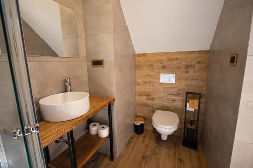 a bathroom with a sink and a toilet at Black Deer in Czarna Góra