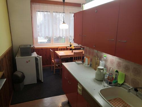 Kuchyň nebo kuchyňský kout v ubytování Apartmán ČSA Františkovy Lázně