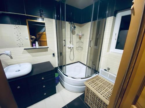 W łazience znajduje się prysznic, toaleta i umywalka. w obiekcie Gospodarstwo Agroturystyczne „Betula Pendula” Duży Dom w mieście Drzewica