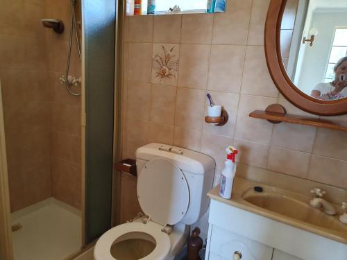 a bathroom with a toilet and a sink and a mirror at Airport HomeStay in Perth