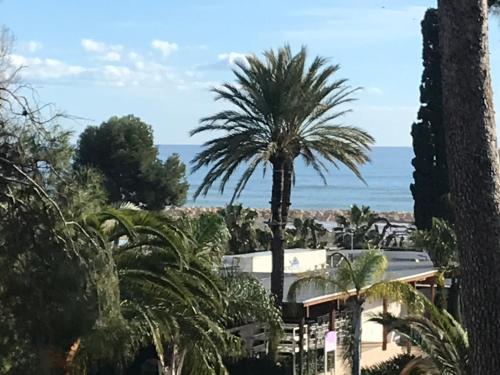 a palm tree in front of a building and the ocean at VILLA CATALUNYA in Cambrils