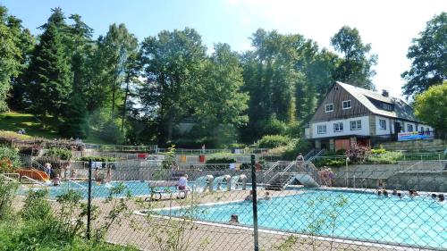 霍恩斯泰因的住宿－MB韋伯爾酒店，一座游泳池,人们在房子前面玩耍