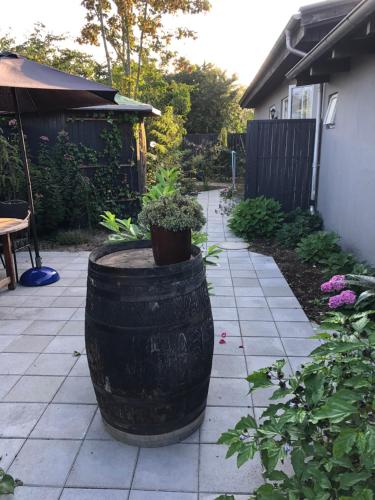 a garden with a large barrel with plants in it at Molino in Bønnerup Strand