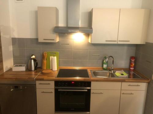 Kuchyň nebo kuchyňský kout v ubytování Ferienwohnung Schelsen