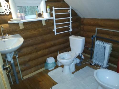 A bathroom at Eco dom v lesu