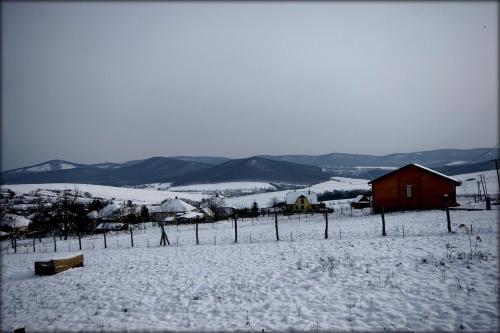 a snow covered field with a red barn in the distance at Kaláris Vendégház in Hollókő