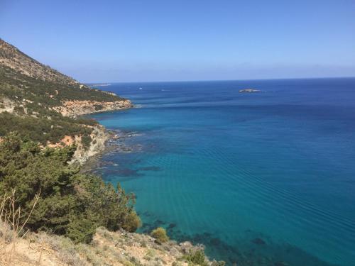 a view of the ocean from a cliff at Beach villa Gladiolus in Neo Chorio