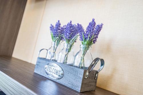 a bunch of purple flowers in glass vases on a shelf at Big Skies Platinum Plus Holiday Home with Wifi, Netflix, Dishwasher, Decking in Camber