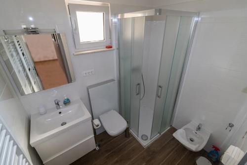 a bathroom with a shower and a sink and a toilet at Apartman Hrabrić 2 in Njivice