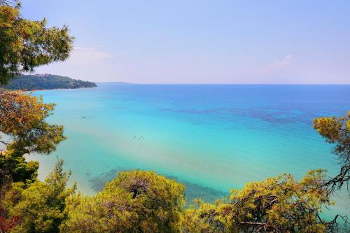 Gallery image of Ariadni Villa Sani in Sani Beach