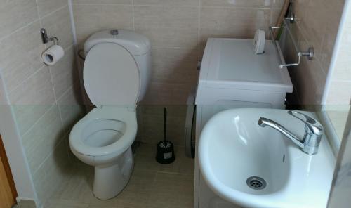 Un baño con un inodoro blanco y un lavabo. en Sandor Apartment Calarasilor, en Târgu Mureș