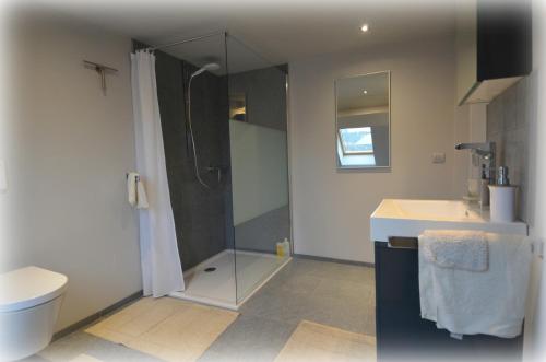 a bathroom with a shower and a toilet and a sink at Het Houten Paard in Ypres