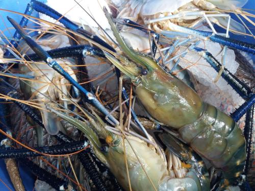 a pile of lobsters in a basket at Heaven in Satinwoods in Tangalle