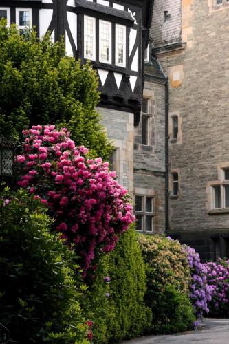 a bush of pink flowers in front of a building at Schlosshotel Kronberg - Hotel Frankfurt in Kronberg im Taunus