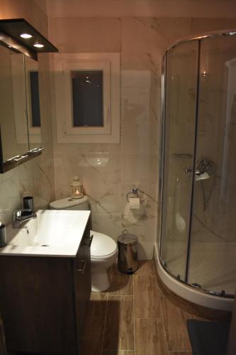 a bathroom with a sink and a shower and a toilet at Chrysafenia & Leandros Downtown in Kavála