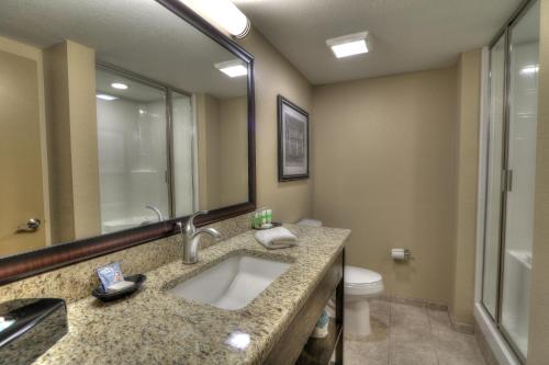 a bathroom with a sink and a toilet and a mirror at Greystone Lodge on the River in Gatlinburg