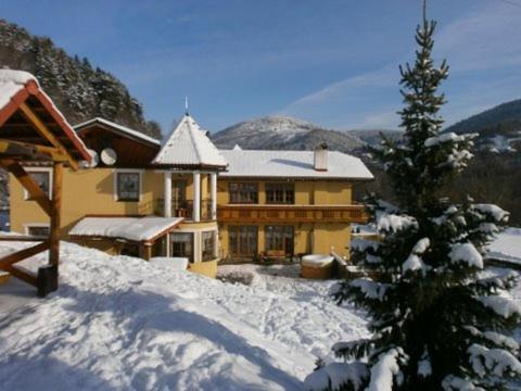 a house in the snow with a christmas tree at Penzión Stefanshof in Kremnica