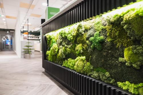 an aquarium with moss and algae on a wall in a store at GreenStar Hotel Vaasa in Vaasa