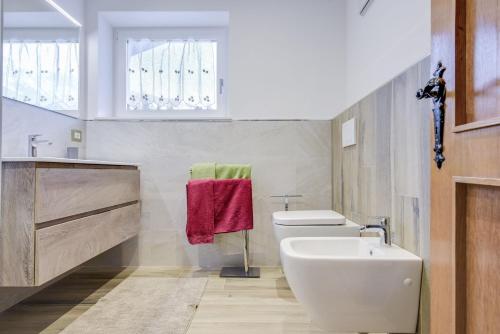 a bathroom with a white toilet and a sink at Ciasa Christina - Attic in Moena