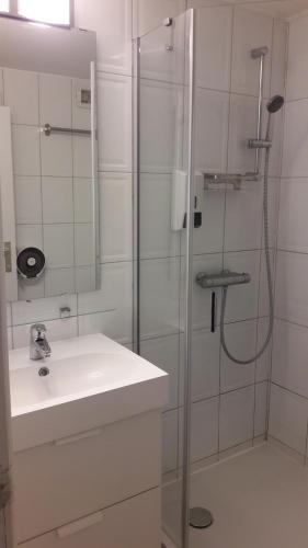 a white bathroom with a shower and a sink at Hebergement confort Comfortlogies La Fontanella in La Roche-en-Ardenne