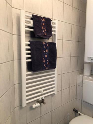 a bathroom with a towel rack next to a toilet at Gästehaus Goldhorn in Rödental