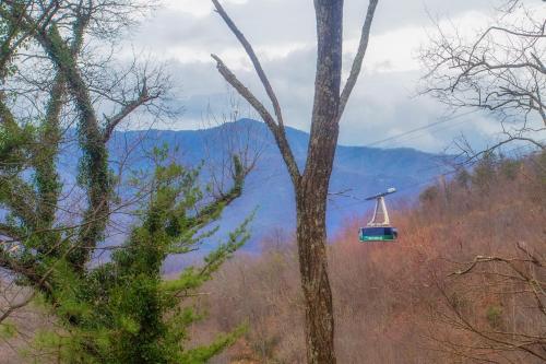 a gondola ride in the mountains with a tree at Four Bears Den, Free Attraction Tickets, Hot Tub, Arcade Game, Gatlinburg, WIFI!!! in Gatlinburg