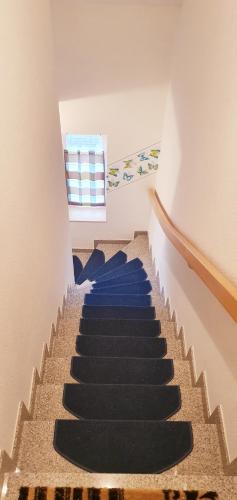 a stairway with blue carpet and blue stairs at Ferienwohnungen Saida Wohnung 2 in Norden