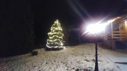 a christmas tree in the snow next to a street light at Sielanówek - Orzechowa Chatka z sauną wanną termalną jacuzzi in Żywiec