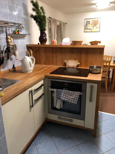 Una cocina o cocineta en Cibulka