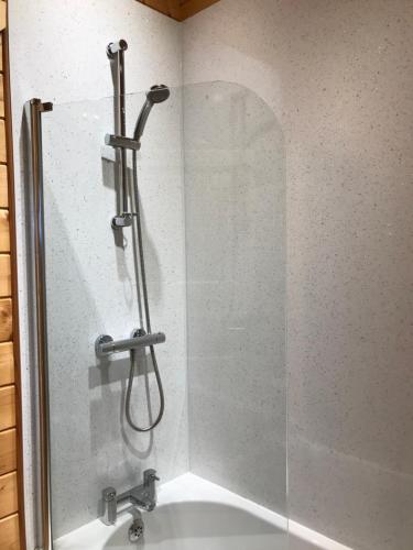 a shower with a glass door next to a sink at Hollybush Lodges in Leigh upon Mendip