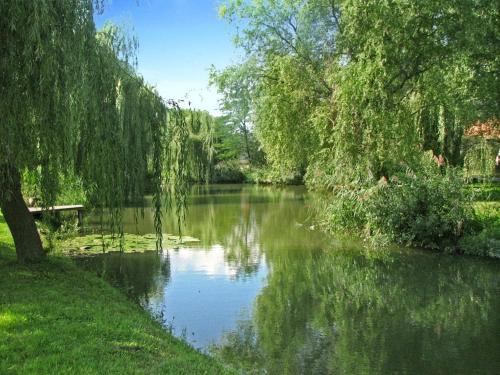 a river in a park with trees and water at Elvira Vendégház in Kisbodak